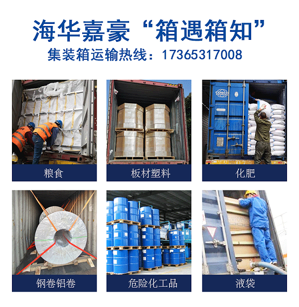 上海集装箱国内海运公司