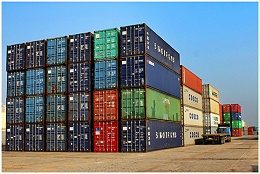 哪些货物不能通过集装箱海运进行运输？